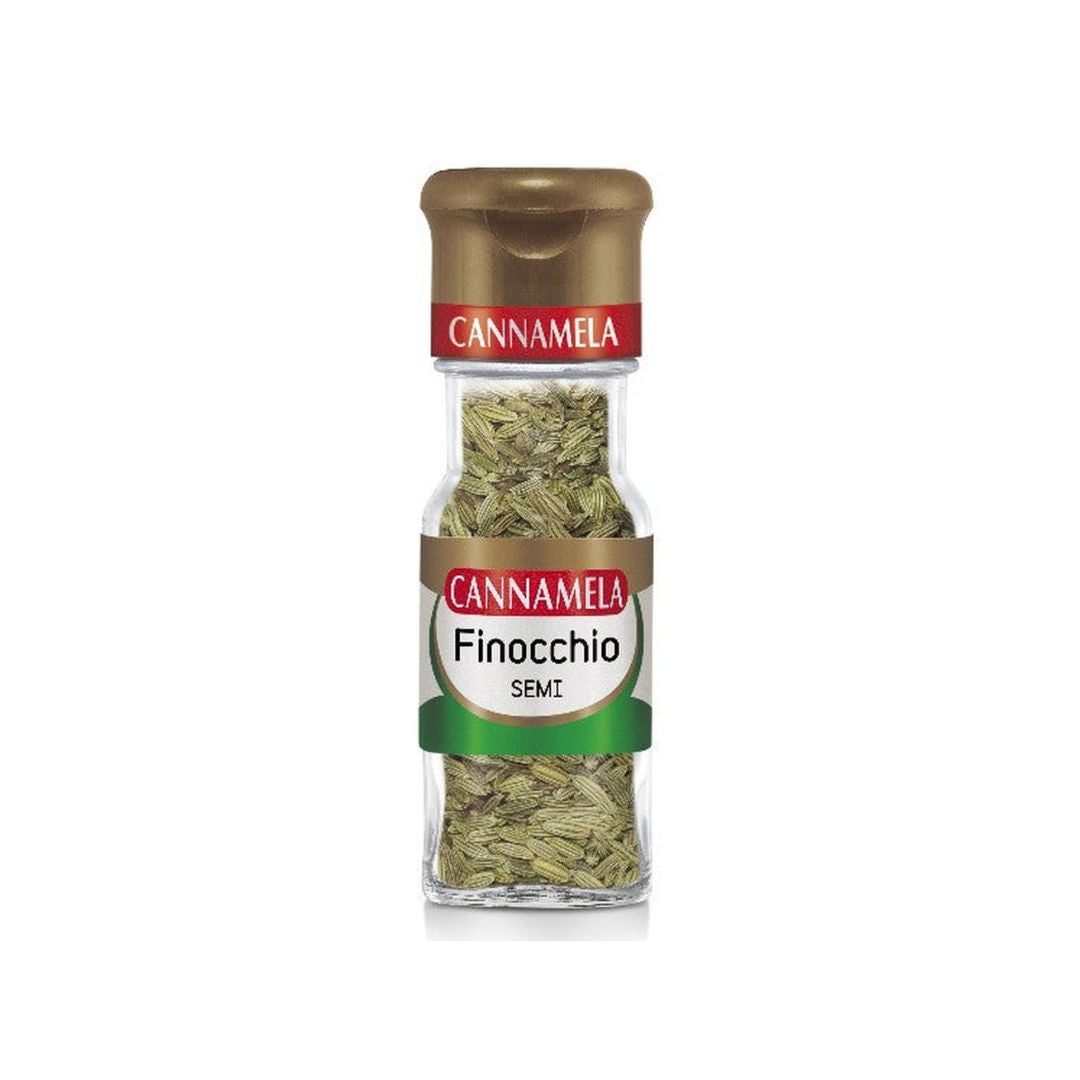 Semi di Finocchio