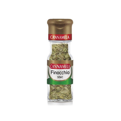 Semi di Finocchio