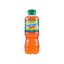 Energade Pet 0,50 cl