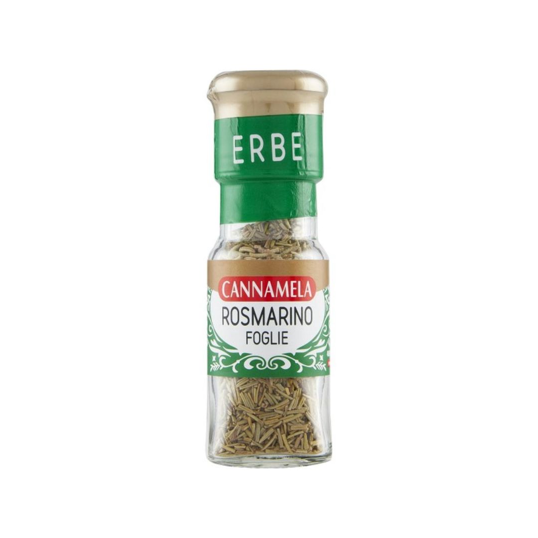 Rosmarino ad aghi