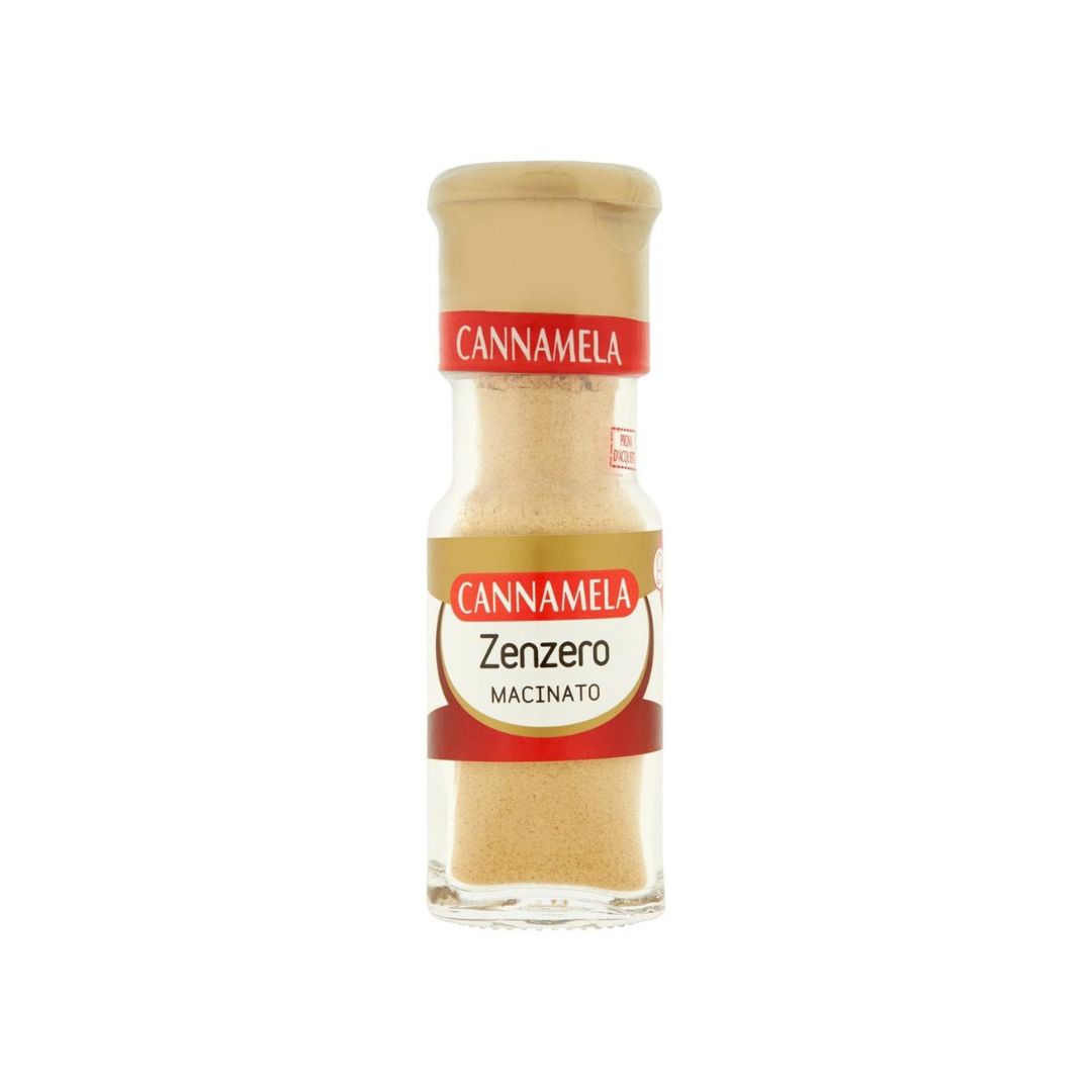 Zenzero in polvere