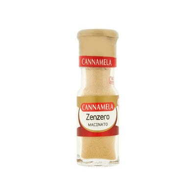 Zenzero in polvere