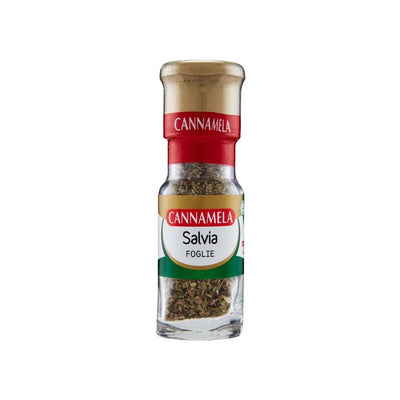 Salvia a foglie