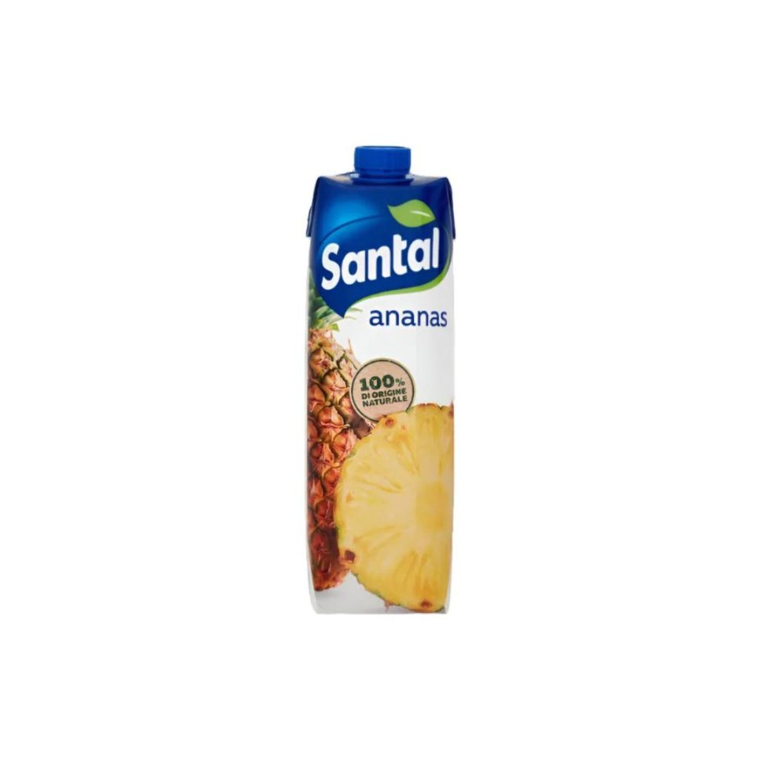 Santal Succo di Frutta Pet 1lt