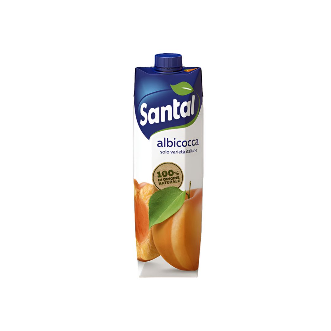 Santal Succo di Frutta Pet 1lt